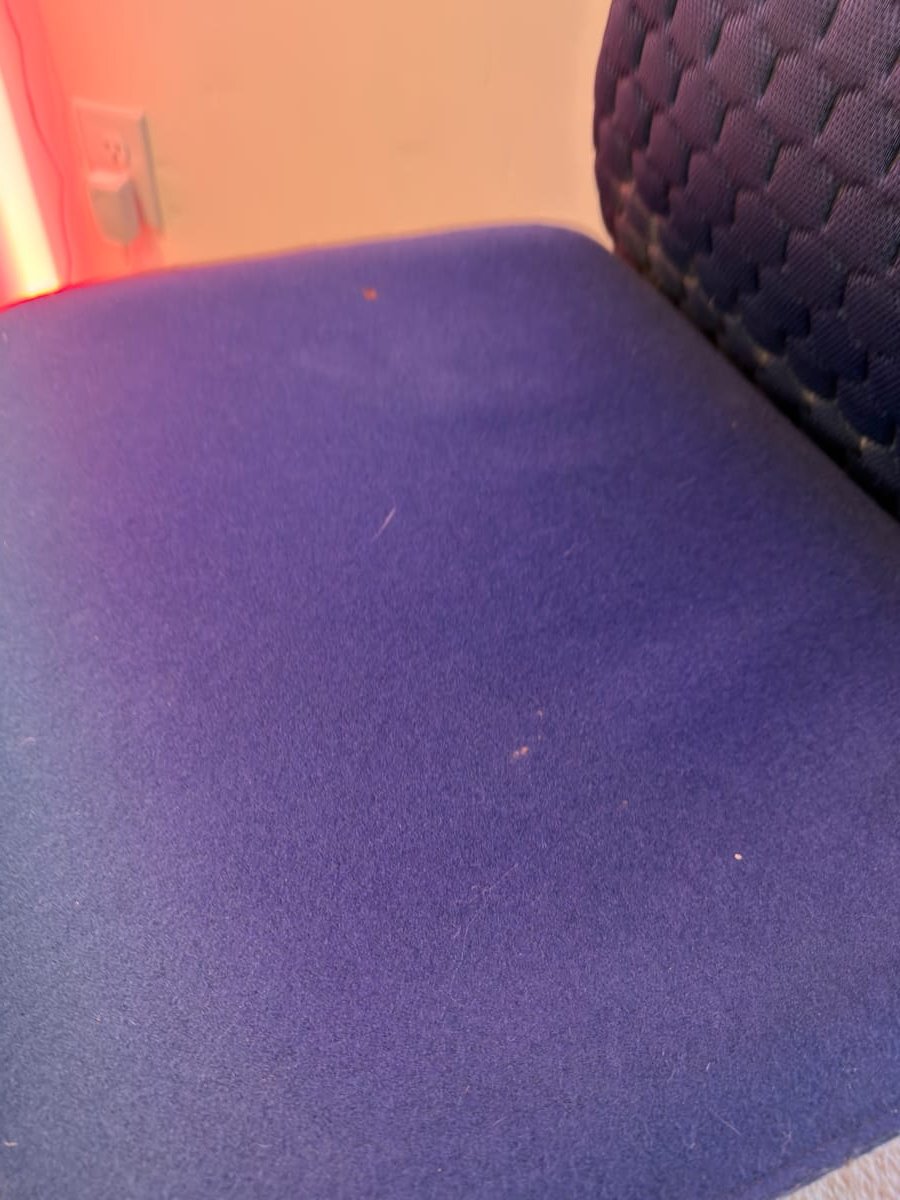 Fern Wool Seat Texture